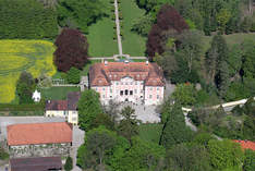 Schloss Assumstadt - Palace in Möckmühl - Exhibition