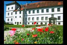 Schloss Messkirch - Palace in Meßkirch