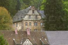 Neue Schloss - Palace in Burgsinn