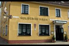 Goldener Hahn - Hotel in Finsterwalde