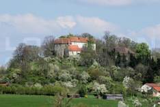 Die Tannenburg - Burg in Nentershausen