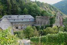 Weingut Kloster Marienthal - Convento / monastero in Dernau
