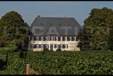 Weingut Baron Knyphausen - Draiser Hof - Winery in Eltville (Rhine)