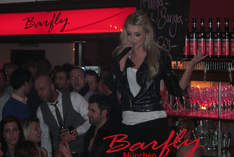 Barfly - Bar in Munich - Work party
