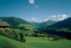 Alpbach in Tirol / rent a village by xnet - Bar in Alpbach - Mostra