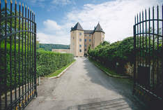 Schloss Steyregg - Palace in Steyregg