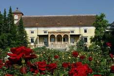 Hotel Schloss Weikersdorf Residenz & Spa - Hotel in Alland