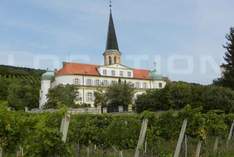 Benediktinerhof - Restaurant in Gumpoldskirchen