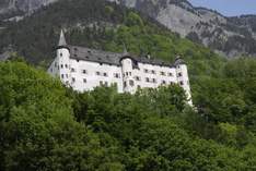 Schloss Tratzberg - Castello in Jenbach