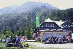 Edelweisshütte - Hütte in Puchberg am Schneeberg