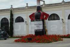 Bodegas Tio Pepe - Weingut in Jerez de la Frontera