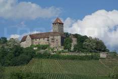 Burg Lichtenberg - Burg in Thallichtenberg