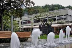 Hofgarten-Stadthalle - Municipal hall in Immenstadt (Allgäu)