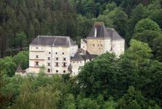 Burg Feistritz - Burg in Feistritz am Wechsel