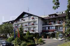Hotel Birkenhof - Hotel in Bad Soden-Salmünster