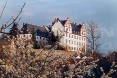 Museum Schloss Lichtenberg - Museo in Fischbachtal