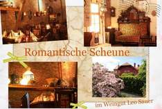 Romantische Scheune im Weingut Leo Sauer - Gutshof in Eibelstadt - Ausstellung