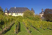 Weingut Schloss Vollrads als Hochzeitslocation, Eventlocation und Tagungsraum in Oestrisch-Winkel im Rheingau in der Nähe von Wiesbaden und Mainz