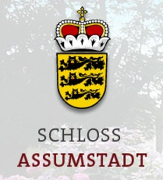 www.assumstadt.com