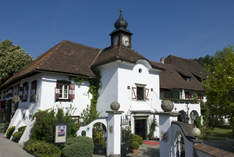 Hotel Schloss Leonstain - Palace in Pörtschach am Wörther See - Exhibition