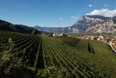 Weingut Endrizzi - Area per eventi in San Michele all'Adige - Mostra