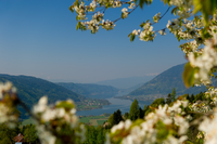 Kärnten-Ossiacher See-Eventlocations-Hochzeitslocations-Tagungsräume