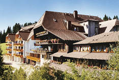 Hotel Schöne Aussicht - Hotel in Hornberg - Festa di famiglia e anniverssario