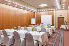 Hotel Wyndham Garden Donaueschinge - Hotel congressuale in Donaueschingen - Conferenza