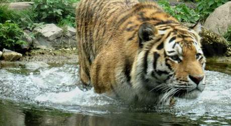 Zoo Leipzig