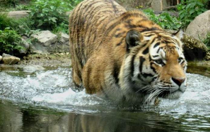 Zoo Leipzig