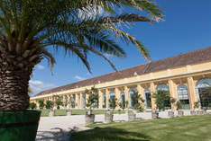 Orangerie Schönbrunn - Festival hall in Vienna - Exhibition