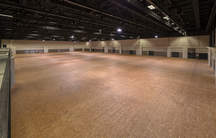 Convention Hall II