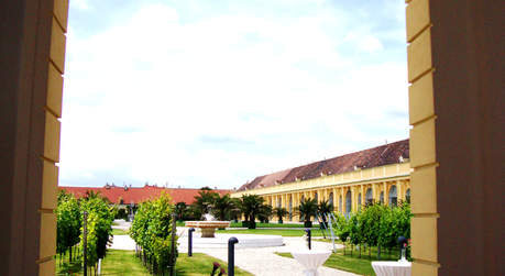 Ausblick Orangeriegarten