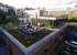 Penthouse Schanze: Loft mit Dachterrasse im urbanen Schanzenviertel in Hamburg