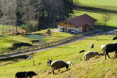 Durhamer Alm - Wedding venue in Fischbachau - Company event