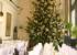 Weihnachtsfeiern und Weihnachtsbrunch lassen sich im Schlosscafé wunderbar ausrichten