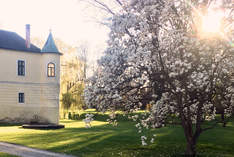 Schloss Jeutendorf - Wedding venue in Böheimkirchen - Wedding